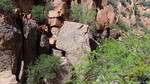 photo thumbnail #8