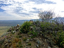 photo thumbnail #6