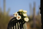 photo thumbnail #1