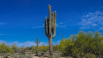 photo thumbnail #1