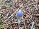 photo thumbnail #1