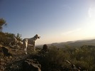 photo thumbnail #4