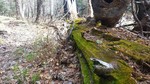 photo thumbnail #9