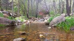 photo thumbnail #10