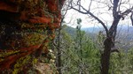 photo thumbnail #11