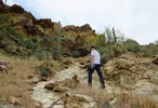 photo thumbnail #5