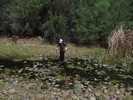 photo thumbnail #9
