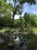 photo thumbnail #11
