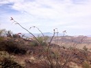 photo thumbnail #13