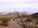 photo thumbnail #15