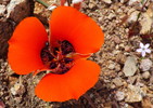 photo thumbnail #9