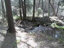 photo thumbnail #8