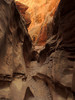 photo thumbnail #15
