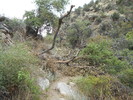 photo thumbnail #10