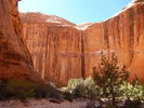 photo thumbnail #8