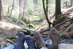 photo thumbnail #11