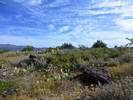 photo thumbnail #6