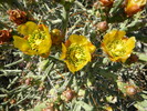 photo thumbnail #2