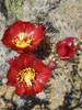 photo thumbnail #10