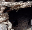 photo thumbnail #15