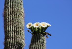 photo thumbnail #5