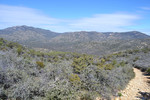 photo thumbnail #6