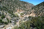 photo thumbnail #12