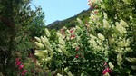 photo thumbnail #6