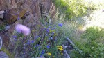 photo thumbnail #12