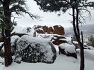 photo thumbnail #5