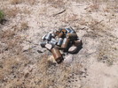 photo thumbnail #2