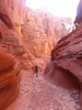 photo thumbnail #14
