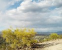 photo thumbnail #3