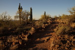 photo thumbnail #14