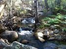 photo thumbnail #1