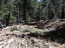photo thumbnail #6