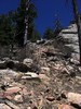 photo thumbnail #8
