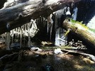 photo thumbnail #11