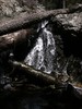 photo thumbnail #12