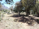 photo thumbnail #13