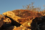 photo thumbnail #5