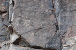 photo thumbnail #14