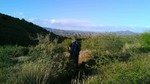 photo thumbnail #9