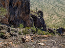 photo thumbnail #9