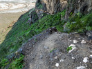 photo thumbnail #15