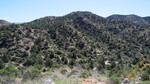photo thumbnail #12