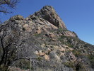 photo thumbnail #12