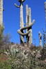 photo thumbnail #5