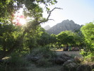 photo thumbnail #1