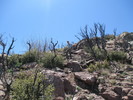 photo thumbnail #9